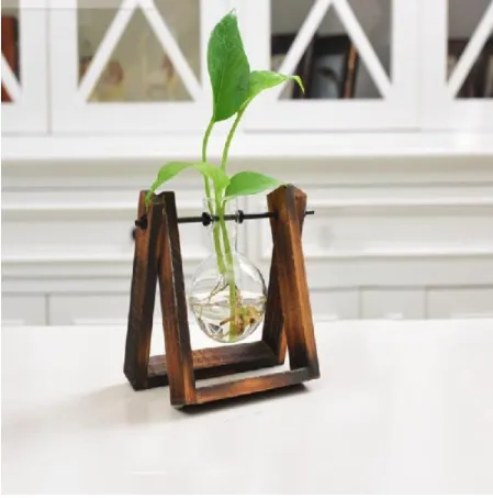 Rustic Plant Terrarium with Wooden Stand