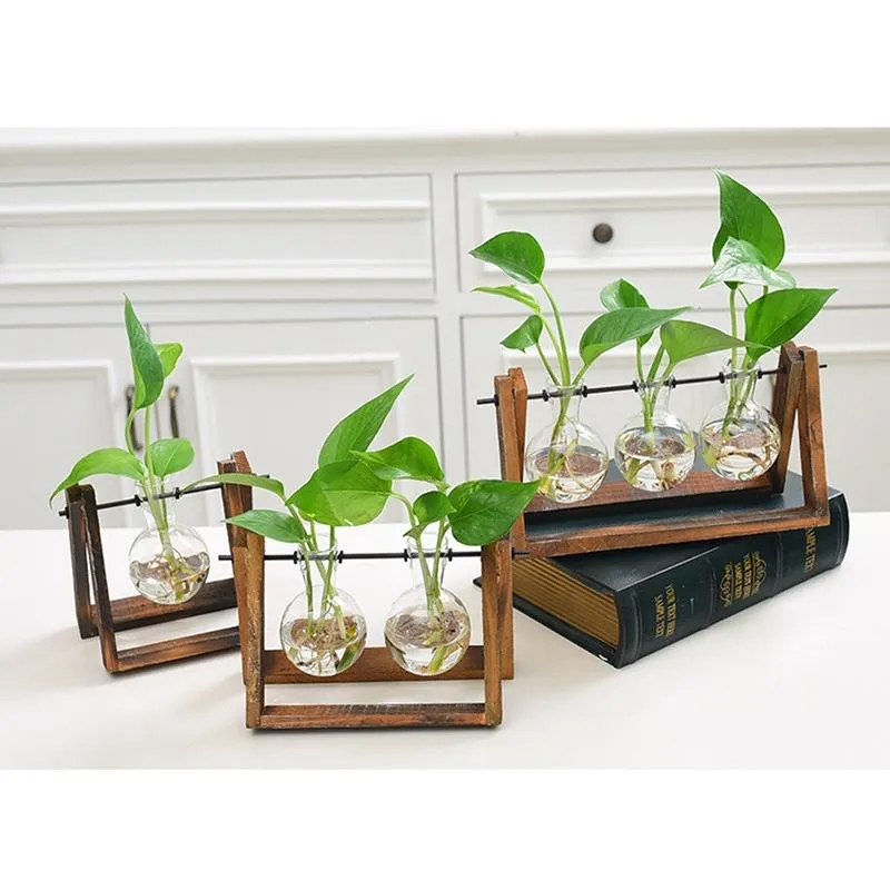 Rustic Plant Terrarium with Wooden Stand