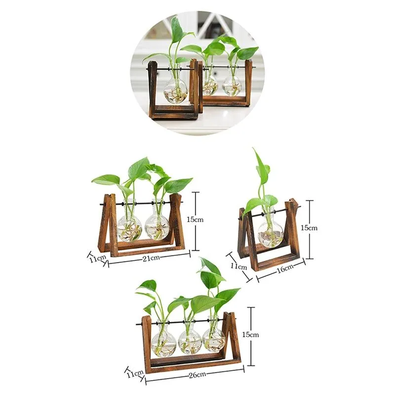 Rustic Plant Terrarium with Wooden Stand