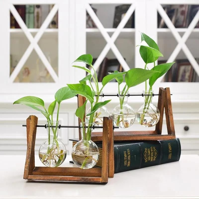 Rustic Plant Terrarium with Wooden Stand