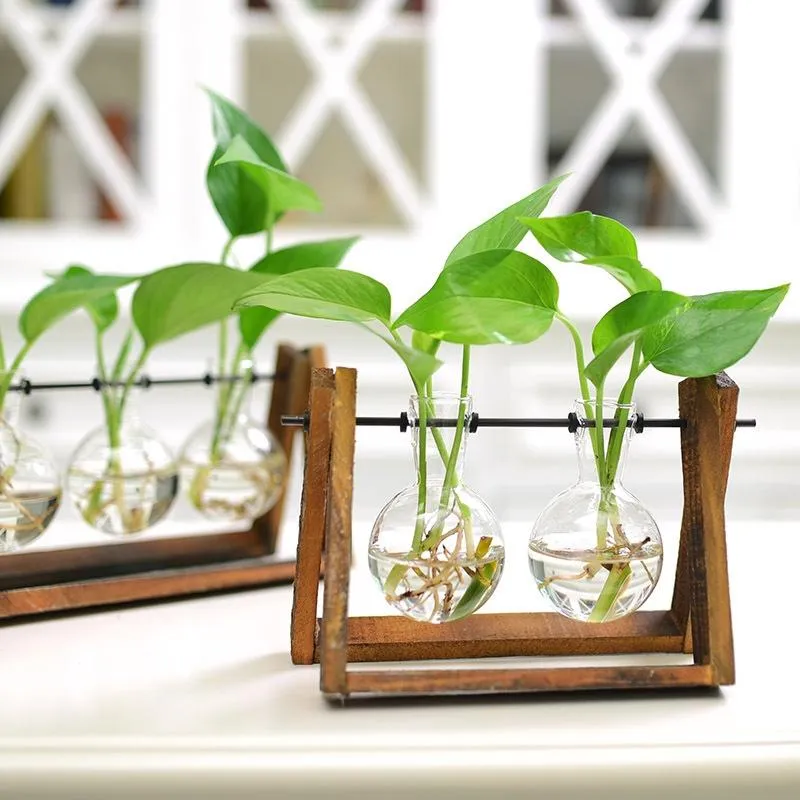 Rustic Plant Terrarium with Wooden Stand