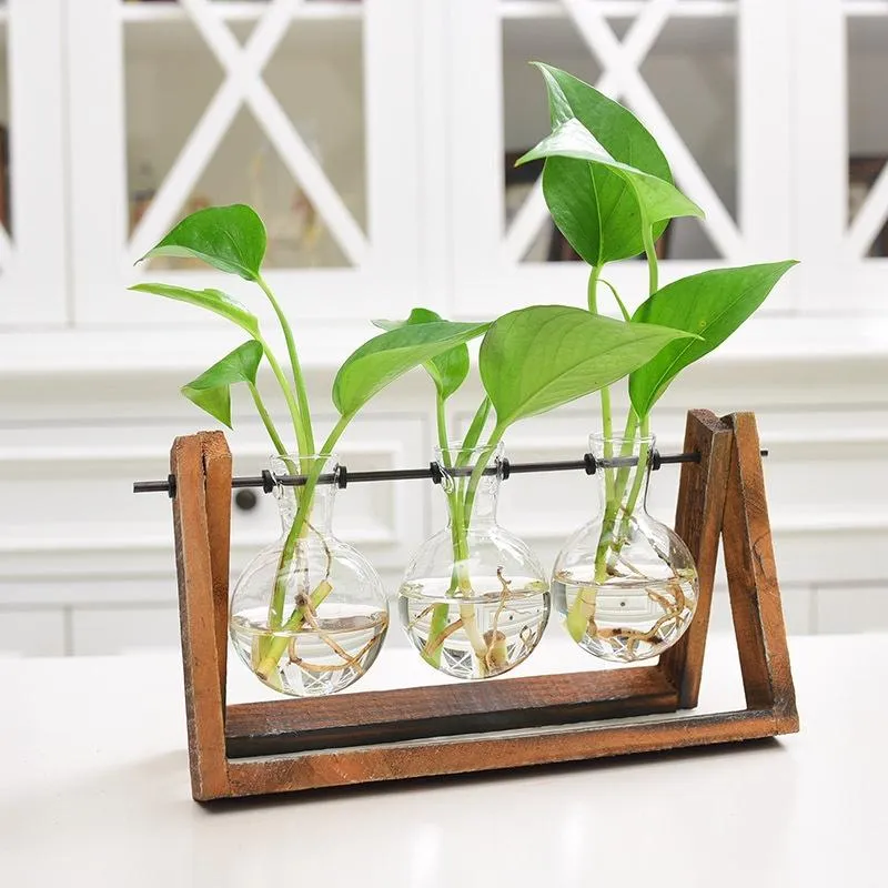 Rustic Plant Terrarium with Wooden Stand