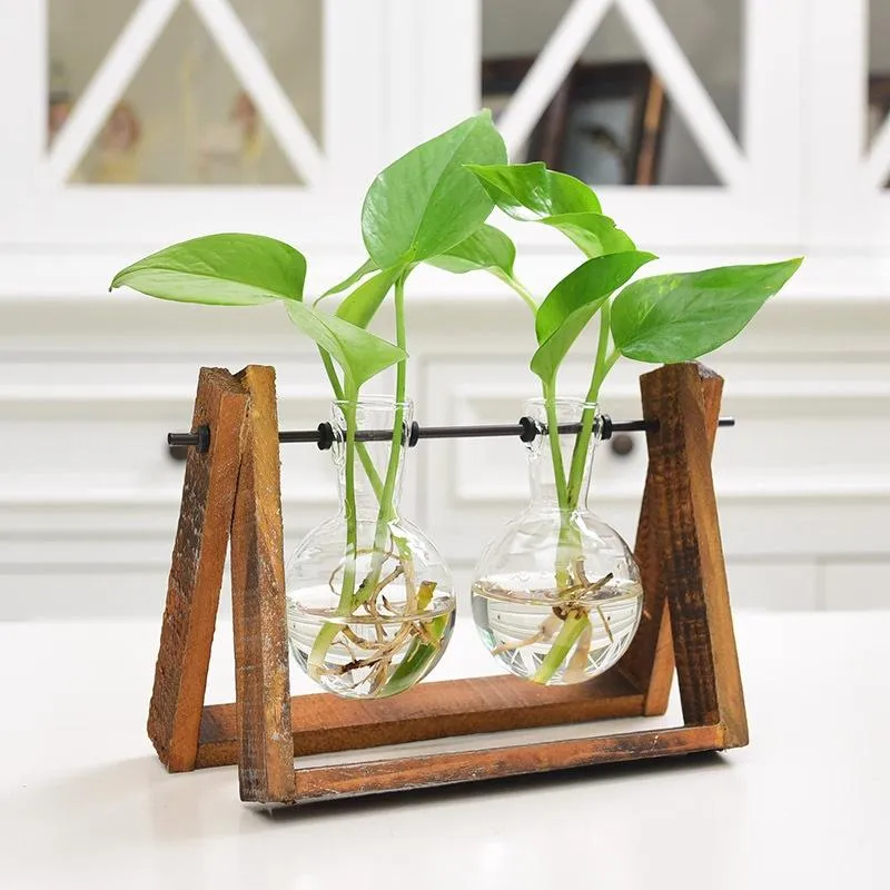 Rustic Plant Terrarium with Wooden Stand