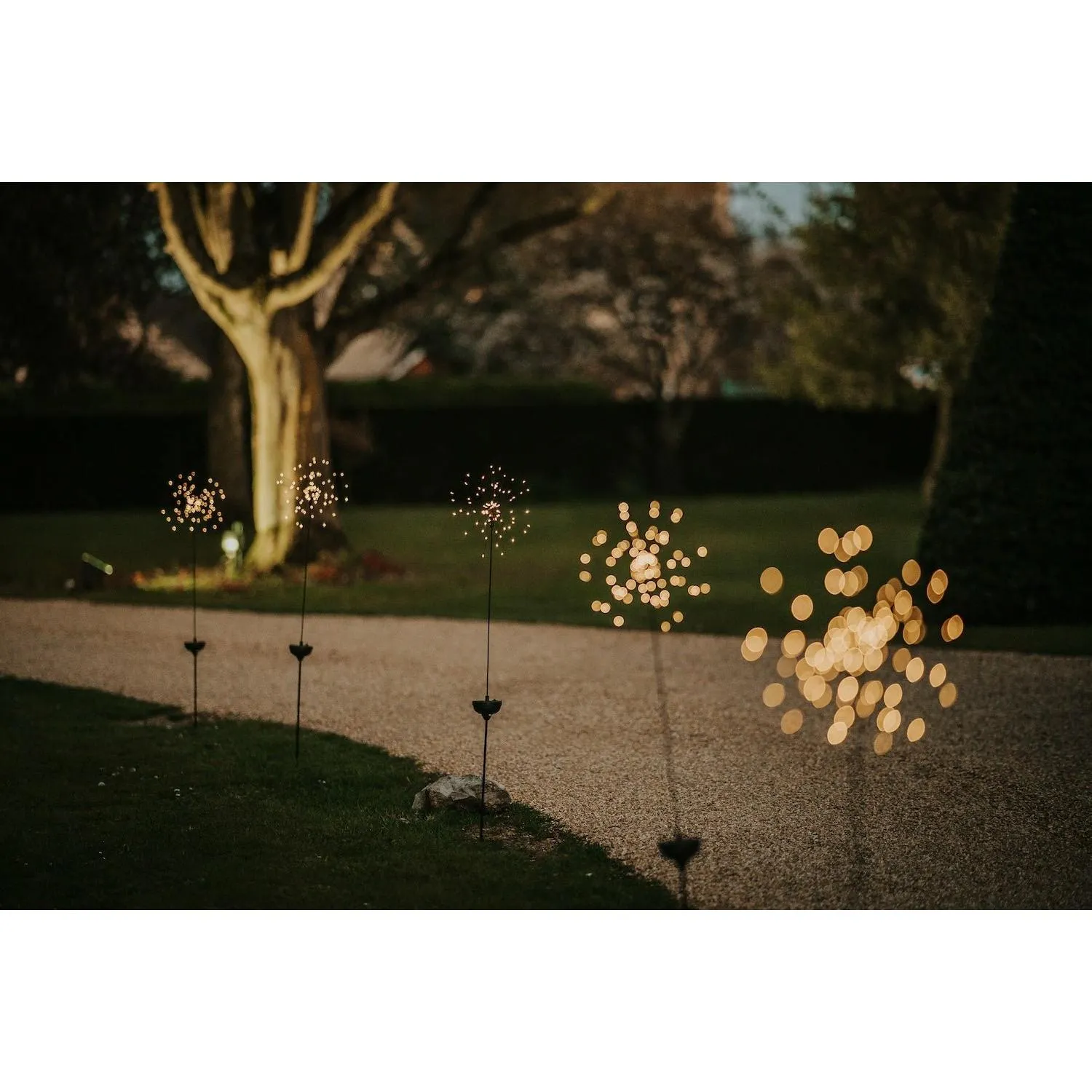 Solar Starburst Light
