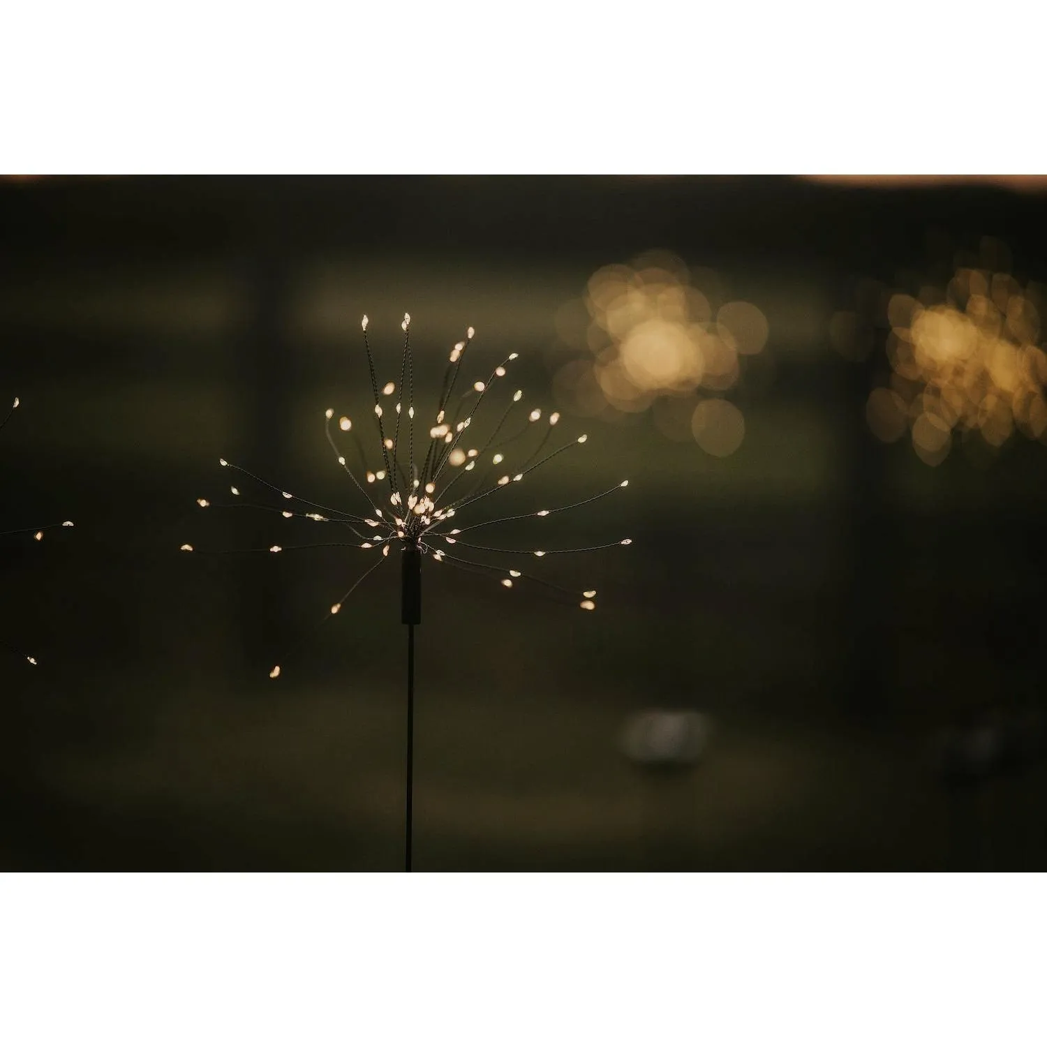 Solar Starburst Light
