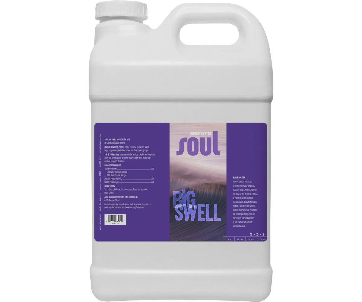 Soul Big Swell