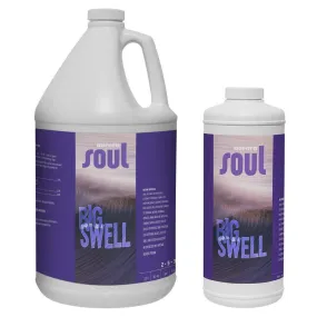Soul Big Swell