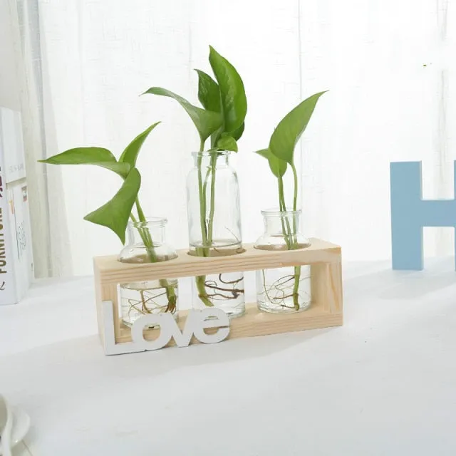 Succulent propagation station