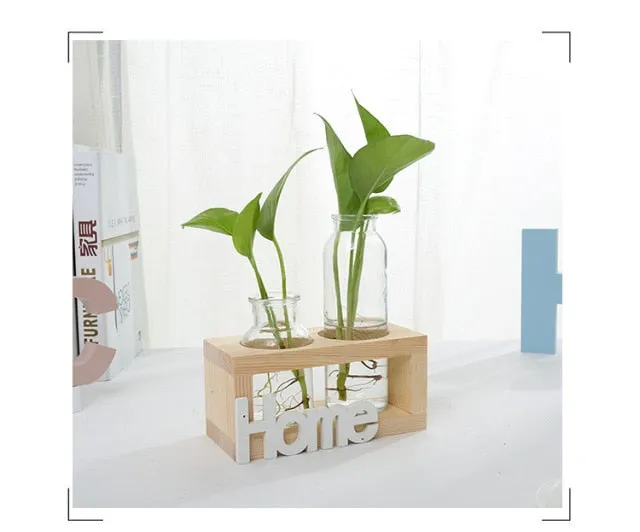 Succulent propagation station