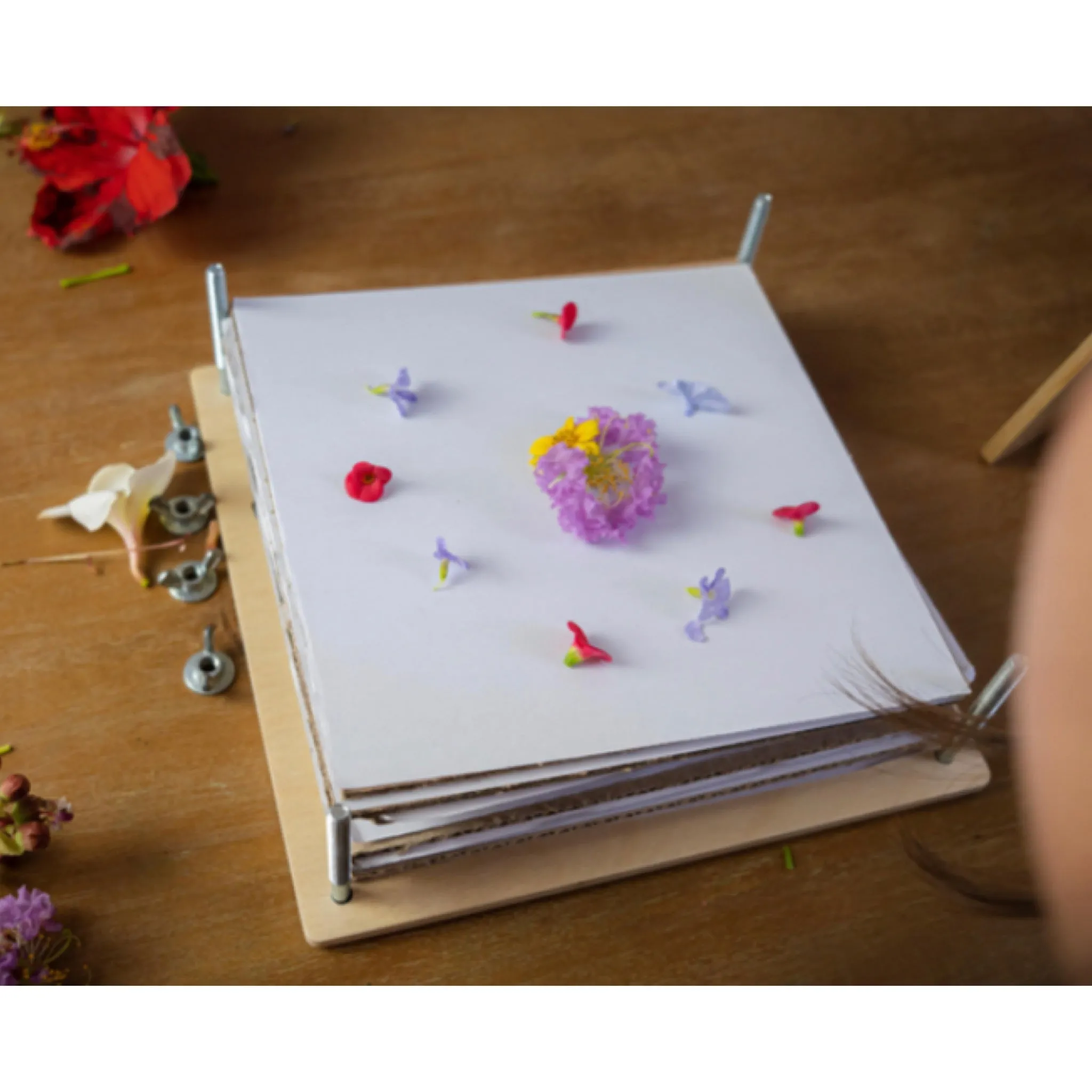 Tender Leaf - My Botanical Flower Press