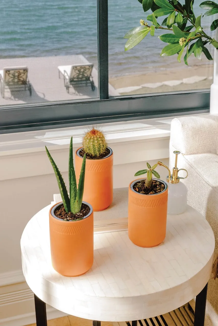 Terracotta Grow Kits