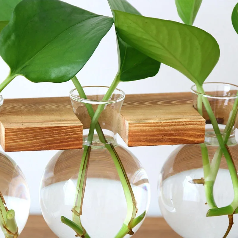 Transparent Glass Bottle Vase For Terrarium And Other Hydroponic Plant Vase With Wooden Frame For Table Desk Decoration