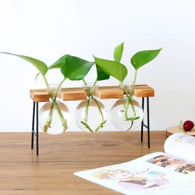 Transparent Glass Bottle Vase For Terrarium And Other Hydroponic Plant Vase With Wooden Frame For Table Desk Decoration