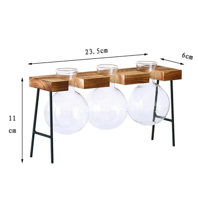 Transparent Glass Bottle Vase For Terrarium And Other Hydroponic Plant Vase With Wooden Frame For Table Desk Decoration
