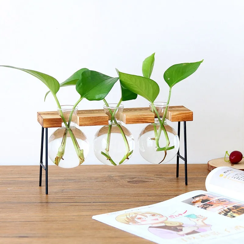 Transparent Glass Bottle Vase For Terrarium And Other Hydroponic Plant Vase With Wooden Frame For Table Desk Decoration