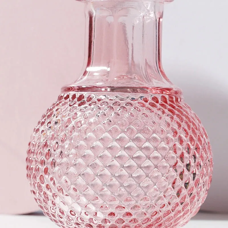 Transparent Glass Vase Desktop Flower Holder Decoration