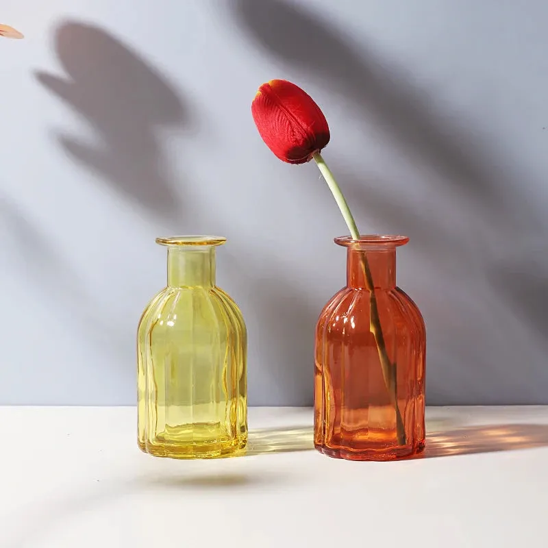 Transparent Glass Vase Desktop Flower Holder Decoration