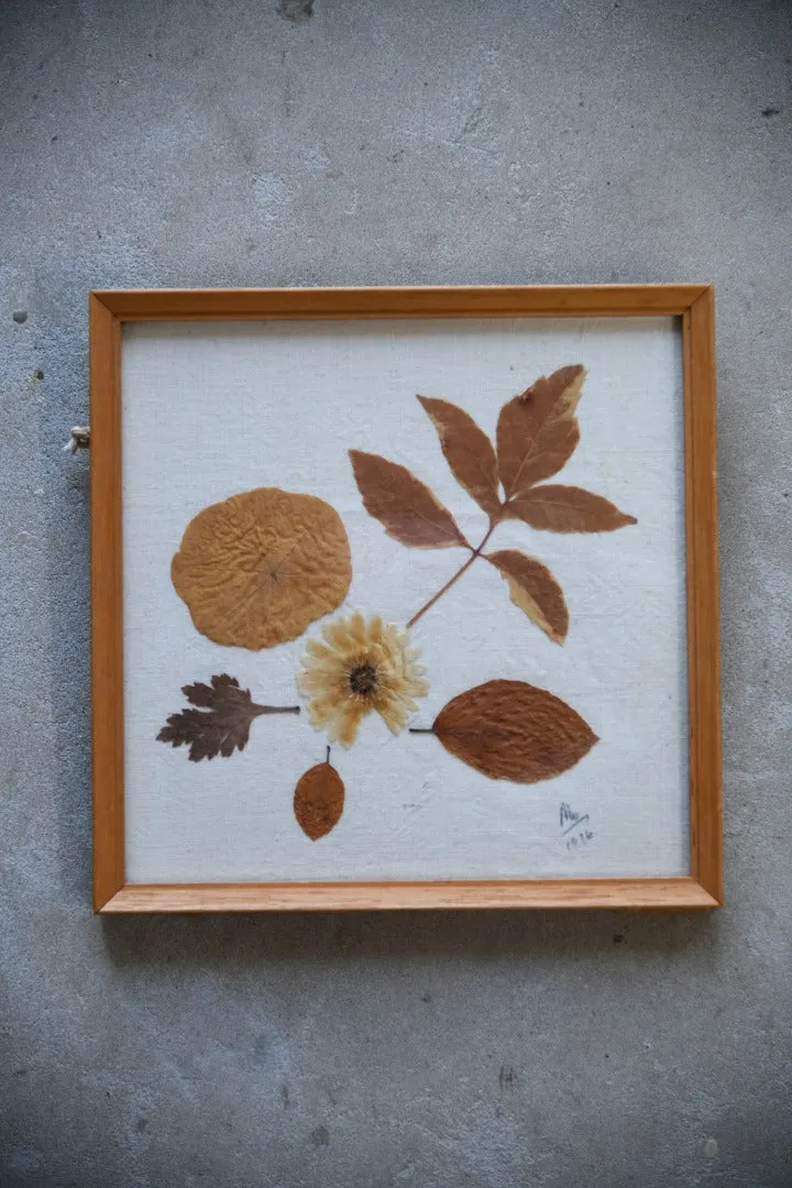 Vintage Pressed Dried Flowers