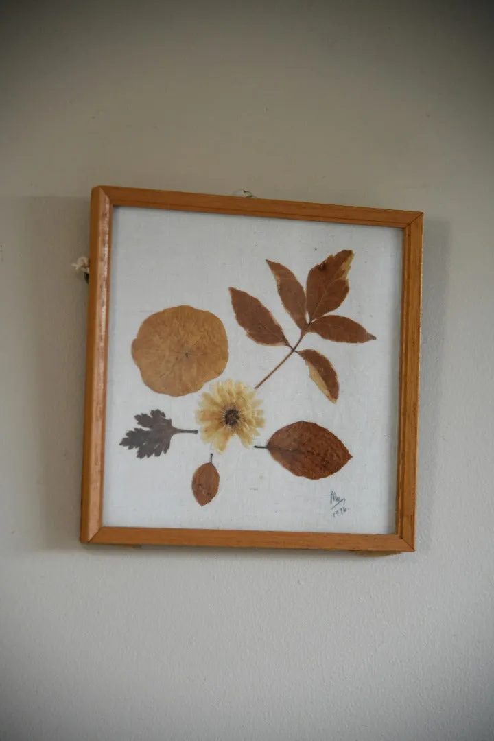 Vintage Pressed Dried Flowers