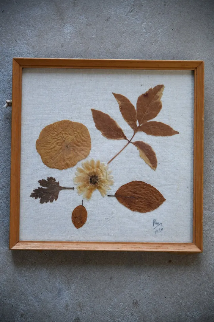 Vintage Pressed Dried Flowers