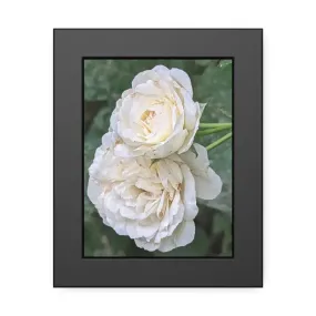 White Roses Framed Paper Posters Fine Art Paper