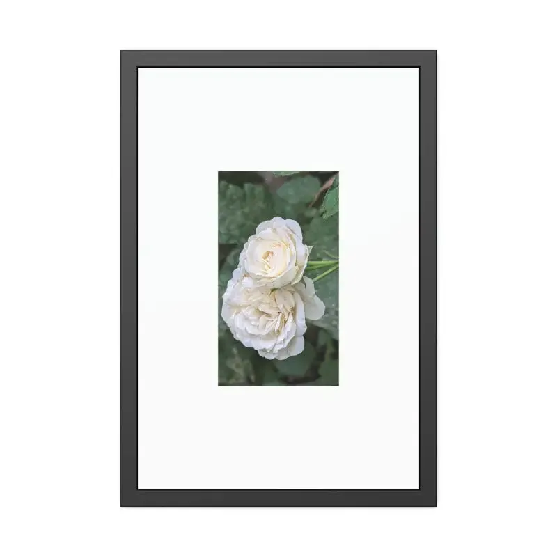 White Roses Framed Paper Posters Fine Art Paper