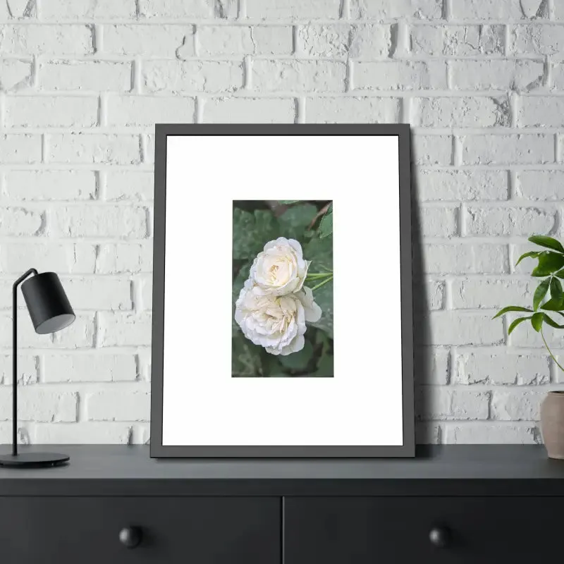 White Roses Framed Paper Posters Fine Art Paper