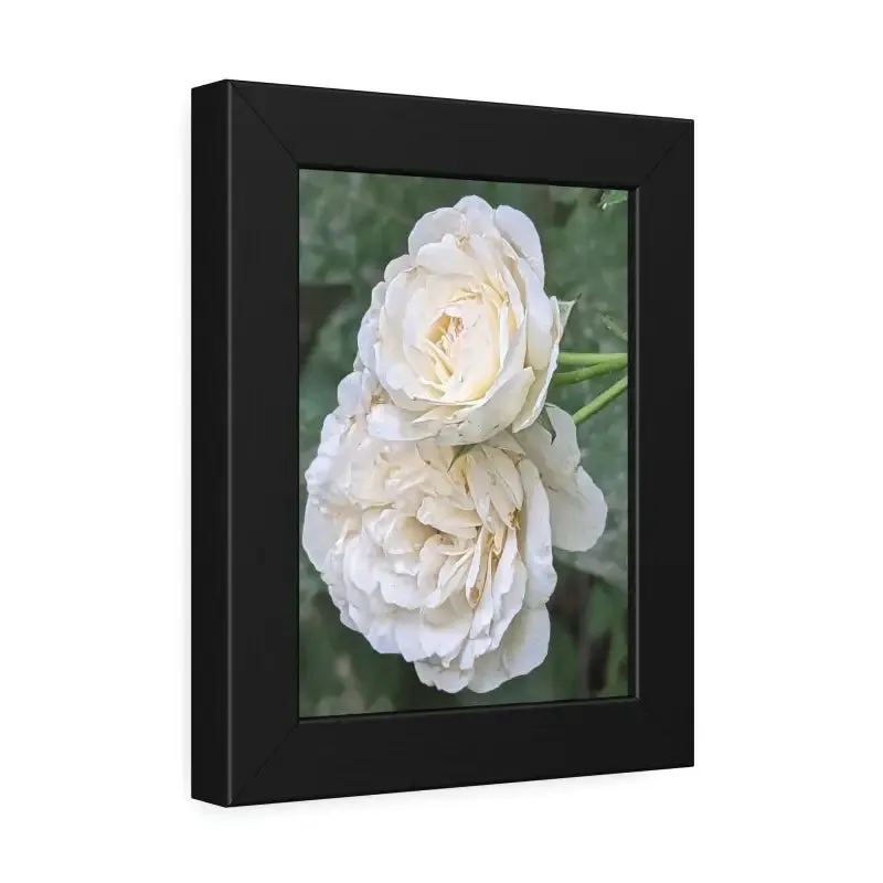 White Roses Framed Paper Posters Fine Art Paper