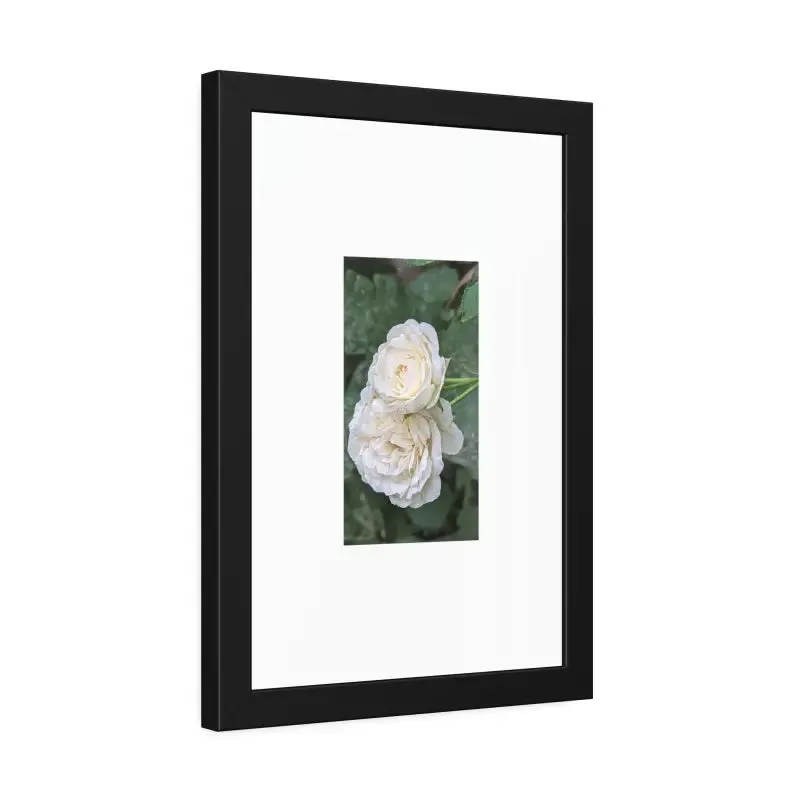 White Roses Framed Paper Posters Fine Art Paper