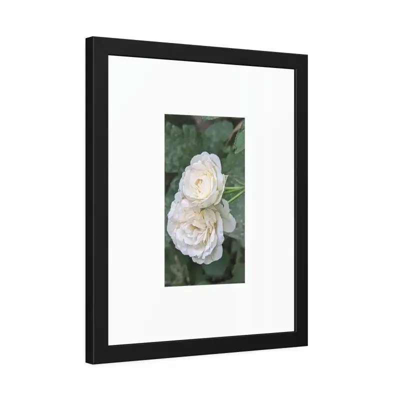 White Roses Framed Paper Posters Fine Art Paper