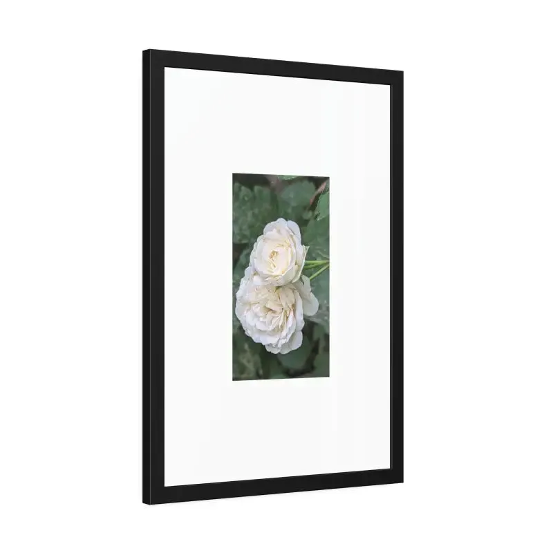 White Roses Framed Paper Posters Fine Art Paper
