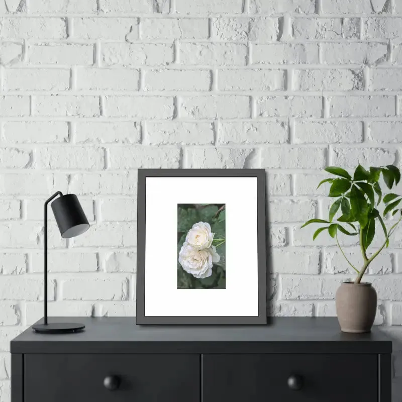White Roses Framed Paper Posters Fine Art Paper