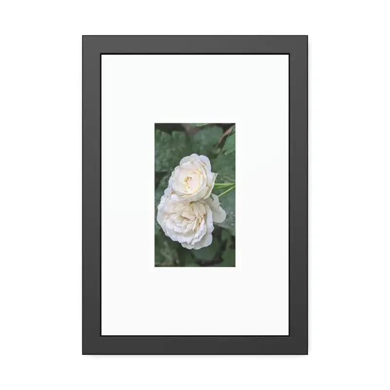 White Roses Framed Paper Posters Fine Art Paper