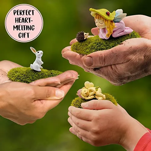 Wild Pixy Fairy Garden Set Miniature Accessories Kit With Fairies and Animals