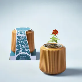 Zinnia Dahlia Flower Grow Kit